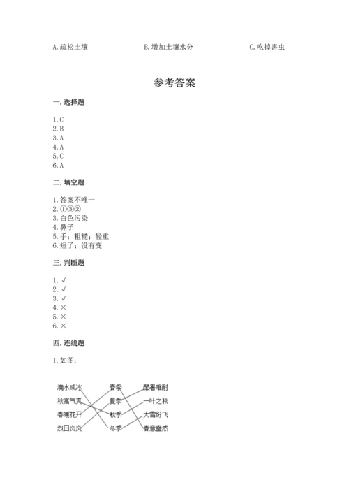 教科版科学二年级上册《期末测试卷》精品【实用】.docx