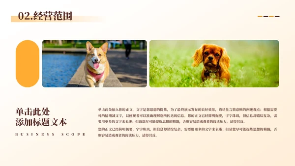 宠物代养宠物寄存商业计划书模板