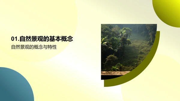 自然景观的奥秘