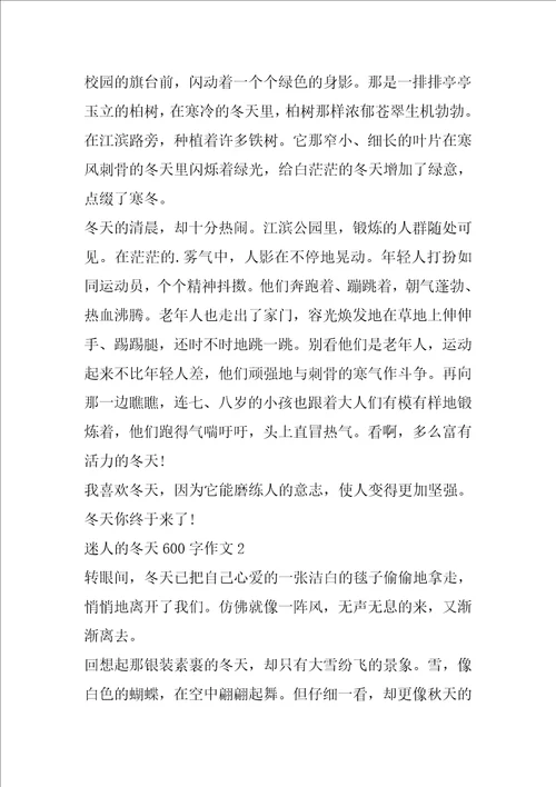 迷人的冬天600字作文