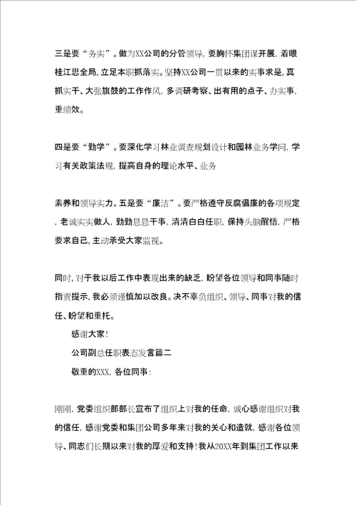 公司副总任职表态发言任职表态简短发言稿共8页