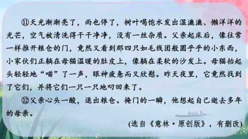 17《猫》课件