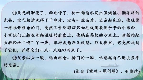 17《猫》课件