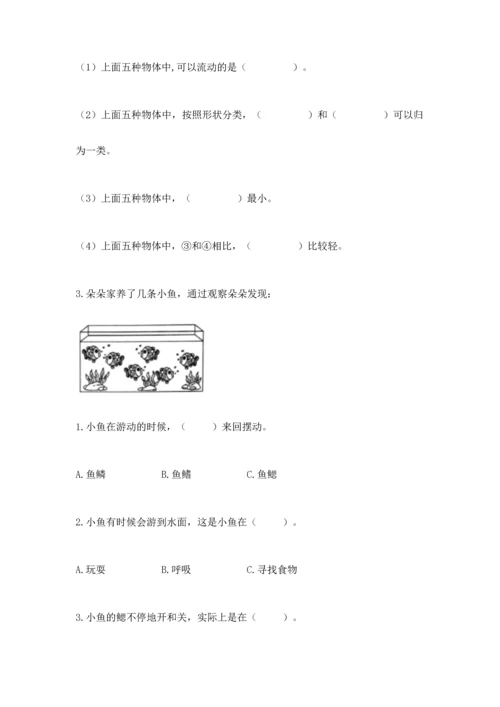 教科版一年级下册科学期末测试卷及参考答案【研优卷】.docx