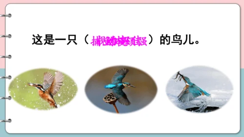 第15课《搭船的鸟》（第二课时）课件