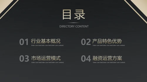 高端产品融资方案金融PPT模板
