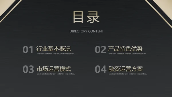 高端产品融资方案金融PPT模板