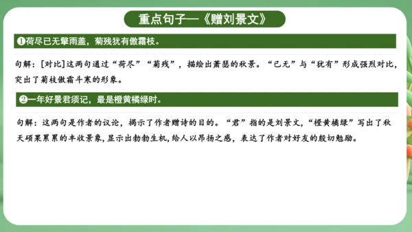 统编版2024三年级语文上册第二单元复习   课件