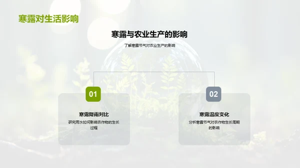 寒露节气的奥秘