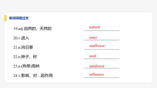 【学霸提优】Unit 6 The power of plants  单元复习课件 外研版（2024）