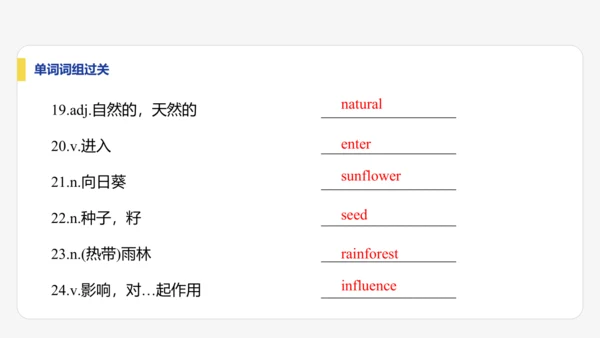 【学霸提优】Unit 6 The power of plants  单元复习课件 外研版（2024）