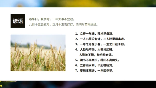 立春春景通用PPT模板