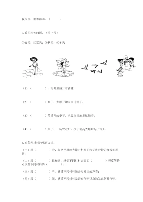 教科版科学二年级上册期末考试试卷（网校专用）.docx