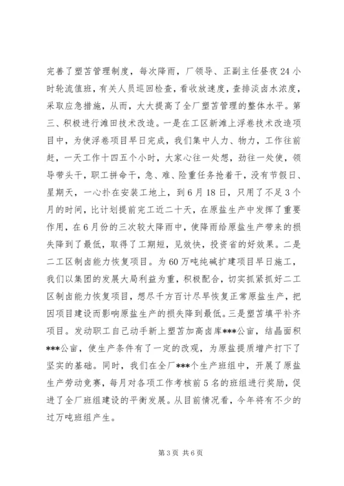 企业(盐场)领导班子述职报告.docx