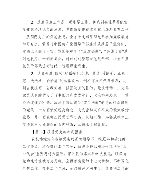 项目党支部年度报告【3篇】