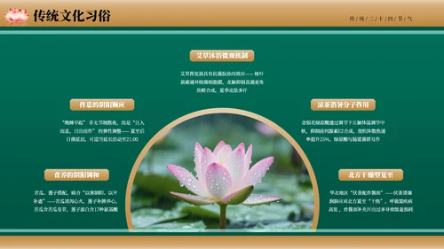绿色古风二十四节气夏至节气介绍PPT模板