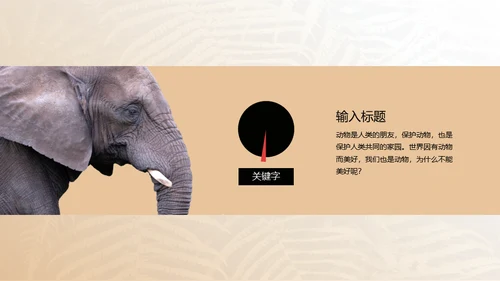 保护野生动物狮子通用PPT模板