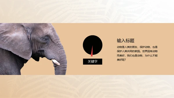 保护野生动物狮子通用PPT模板