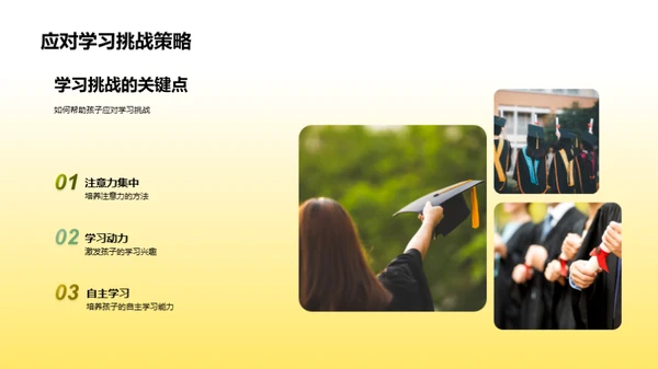 二年级学习全解析