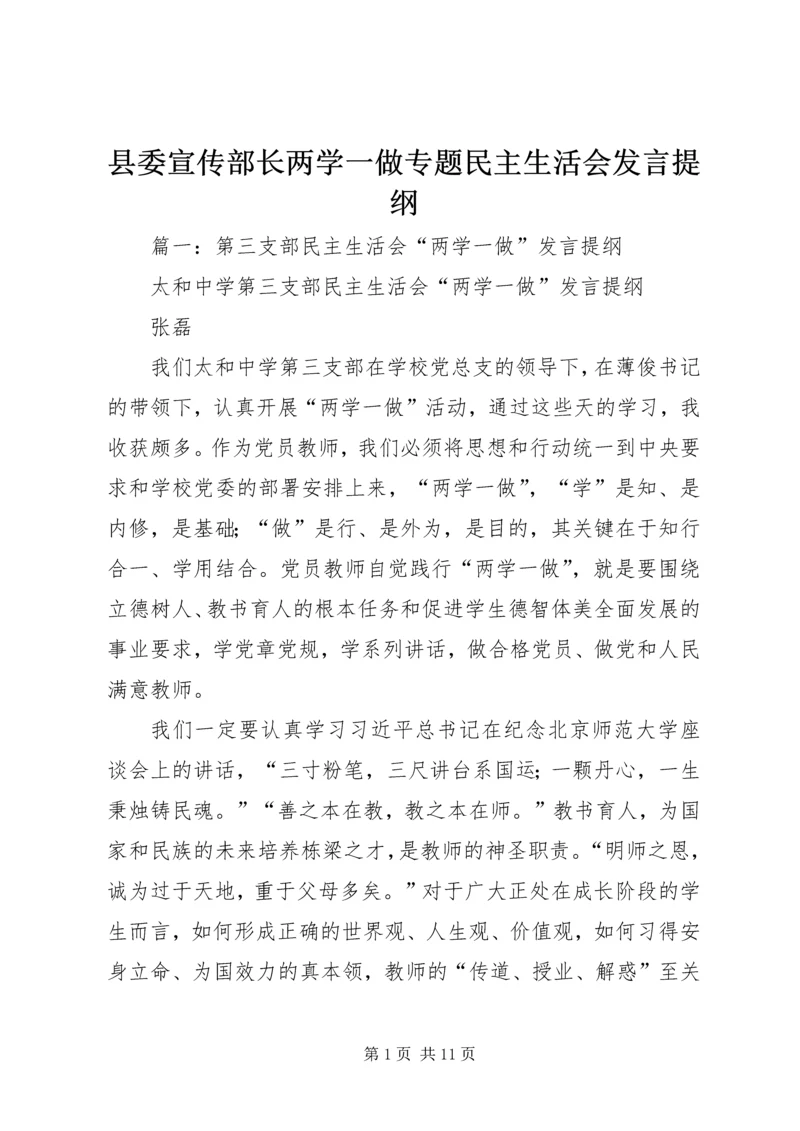 县委宣传部长两学一做专题民主生活会发言提纲 (2).docx