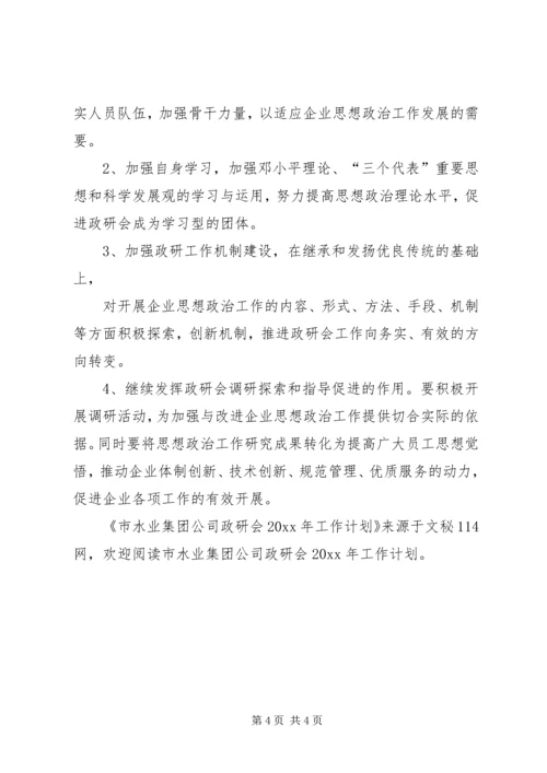 市水业集团公司政研会工作计划.docx