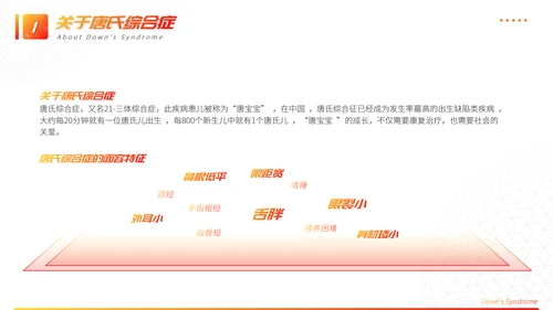 关注唐宝与爱同行PPT模板