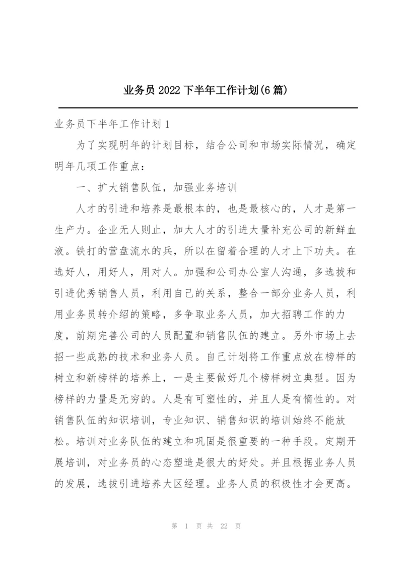 业务员2022下半年工作计划(6篇).docx