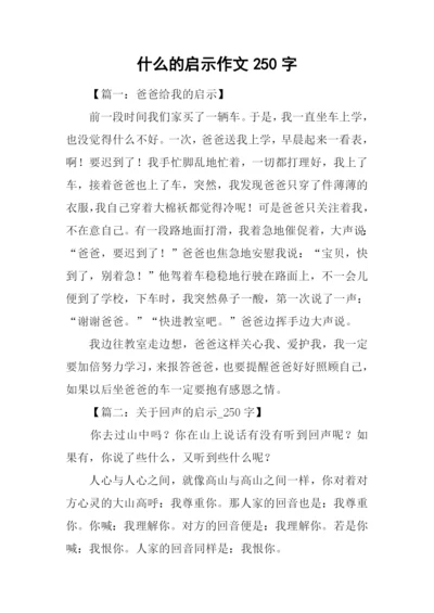 什么的启示作文250字.docx