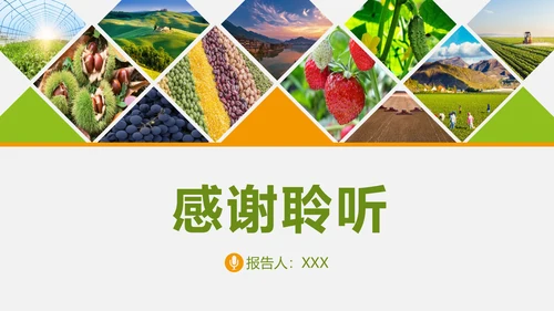 水果蔬菜农业招商农产品宣传通用PPT模板