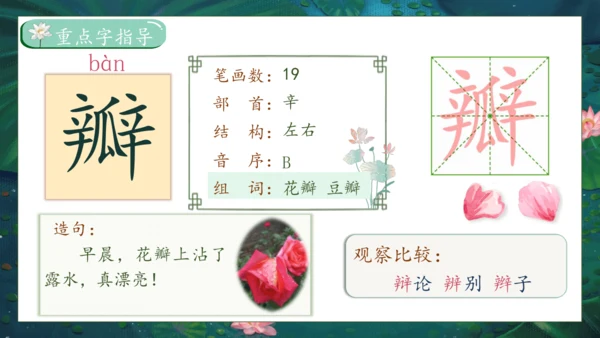 【核心素养】部编版语文三年级下册-3. 荷花 第1课时（课件）