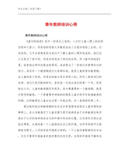 最新青年教师培训心得例文24篇文档汇编.docx