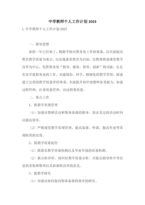 中学教师个人工作计划2023.docx