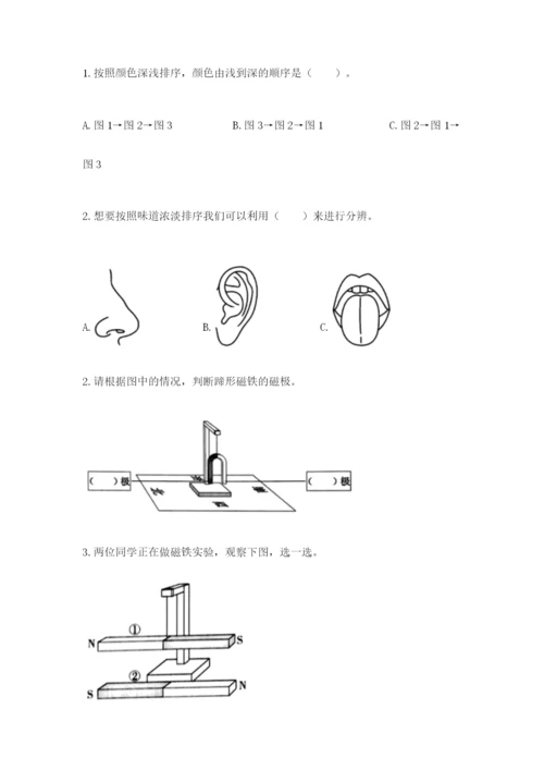 教科版小学科学二年级下册 期末测试卷附参考答案（考试直接用）.docx