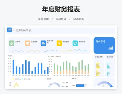 年度财务报表