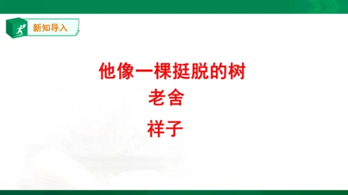 13.《人物描写一组——他像一棵挺脱的树》课件
