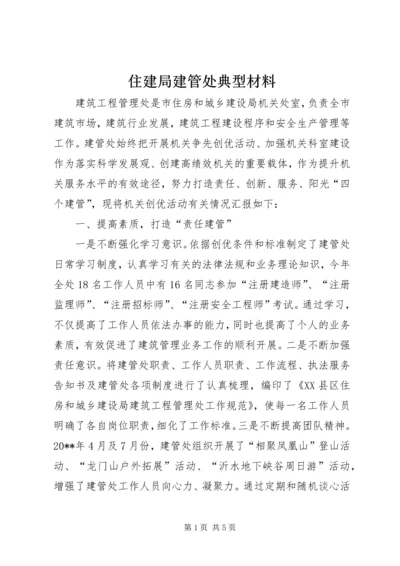 住建局建管处典型材料.docx