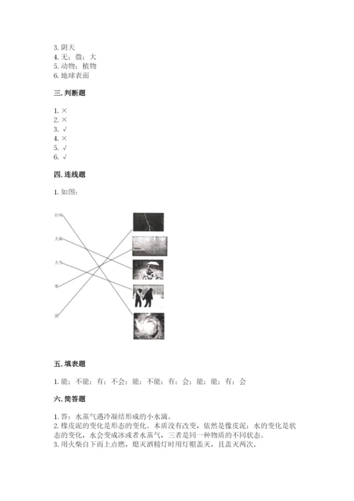 教科版三年级上册科学期末测试卷带答案（新）.docx