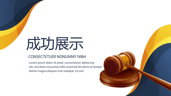 严禁法律总结报告动态PPT