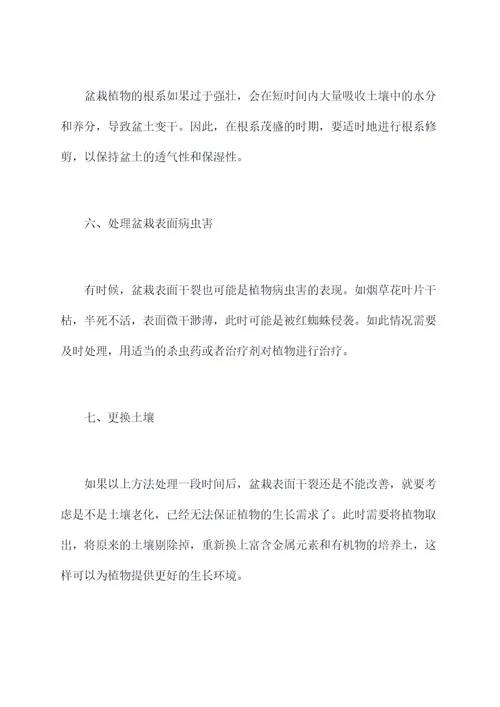 盆栽表面干裂怎么办小妙招