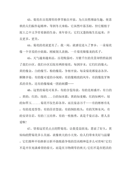 描写菊花香味的唯美语录
