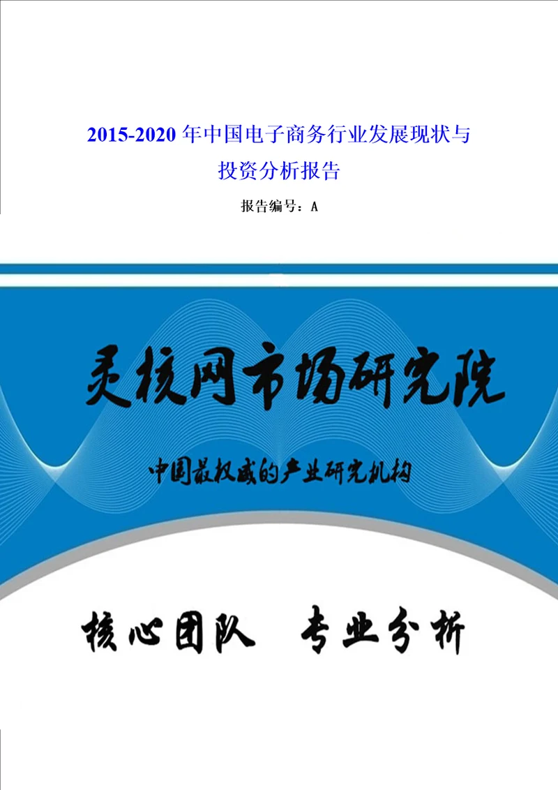 中国电子商务行业现状与投资分析报告灵核网