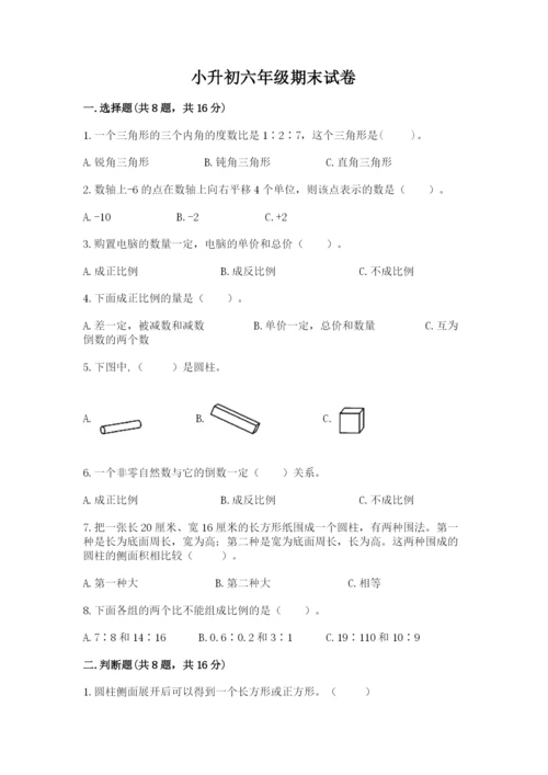 小升初六年级期末试卷（名校卷）word版.docx