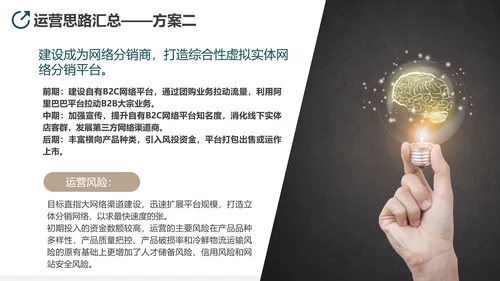 互联网平台直播电商运营方案PPT模板