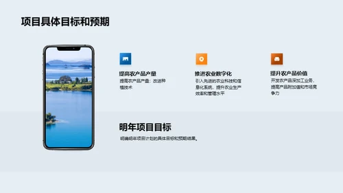 农业项目年度回顾与展望