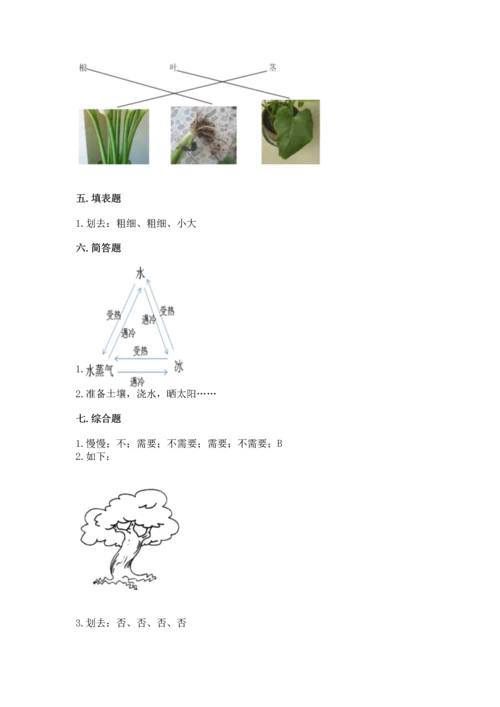 教科版科学一年级上册第一单元《植物》测试卷（突破训练）.docx