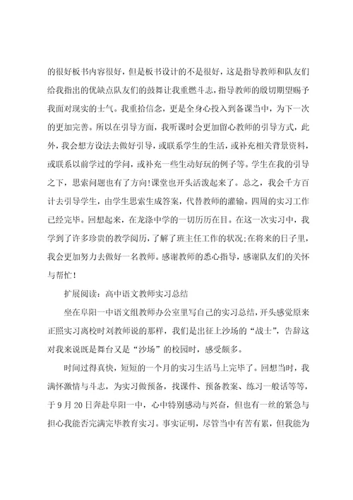 大学生高中语文实习总结