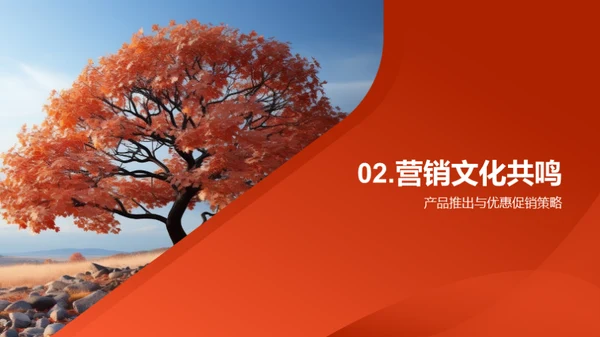 寒露节气营销策略