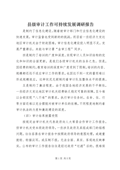 县级审计工作可持续发展调研报告.docx