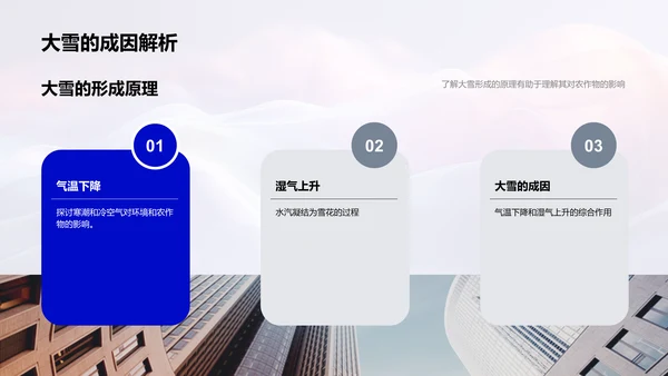 大雪农业影响讲座PPT模板