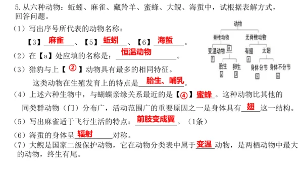 人教版生物七年级上册2.4.1《尝试对生物的分类》（教学课件）(共23张PPT)